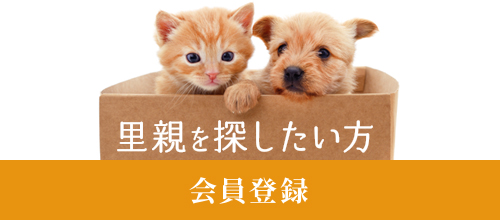 里親を探したい方