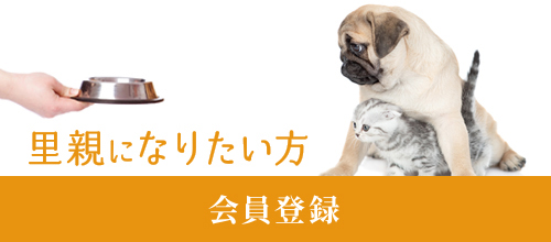 里親になりたい方