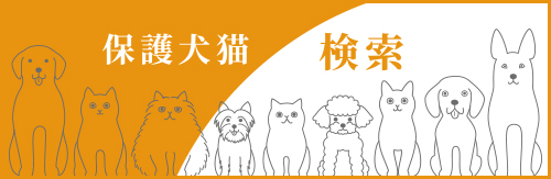 詳細検索