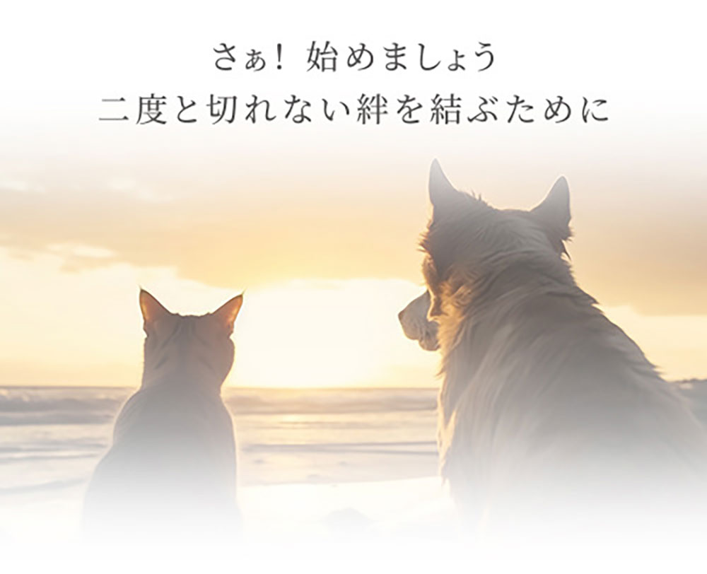 さぁ！はじめましょう。二度と切れない絆を結ぶために